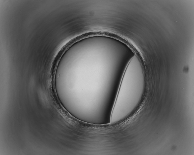 X0000100840927200806200734