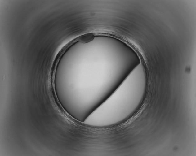 X0000100840928200806200734