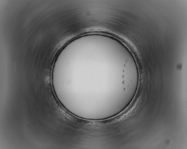 X0000100840929200806200735