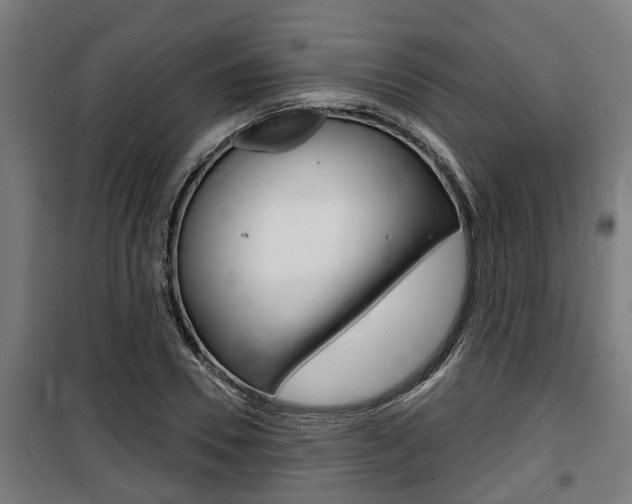 X0000100840930200806200735