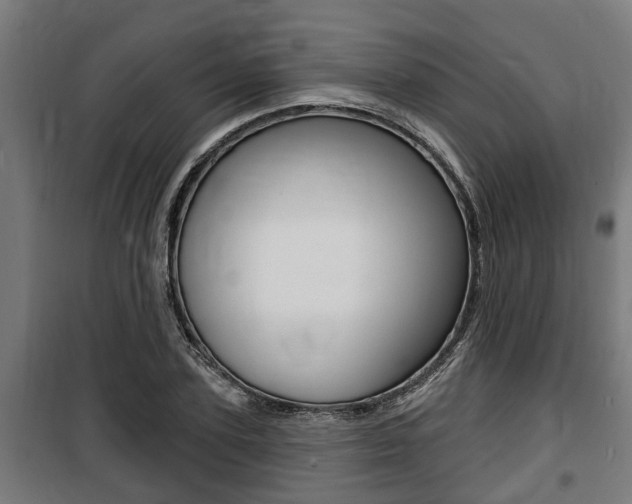 X0000100840931200806200735