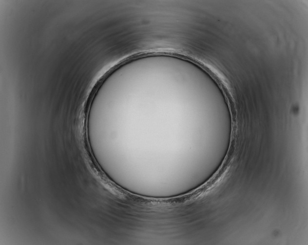 X0000100840933200806200735