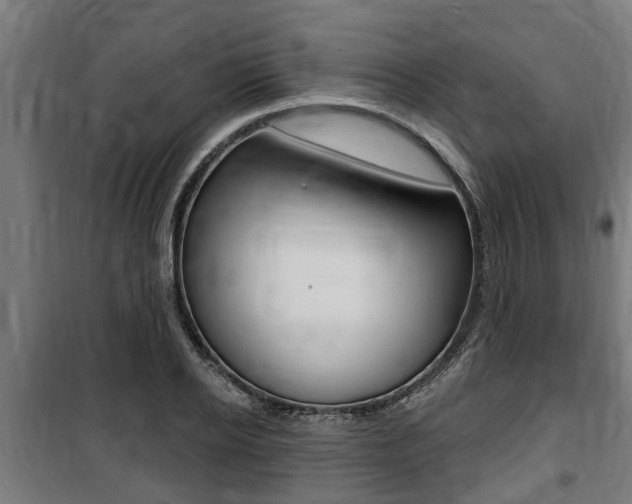 X0000100840934200806200735