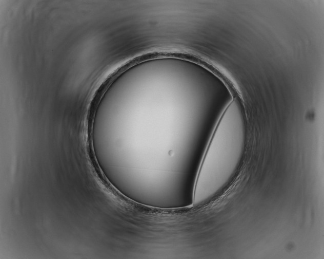 X0000100840935200806200735