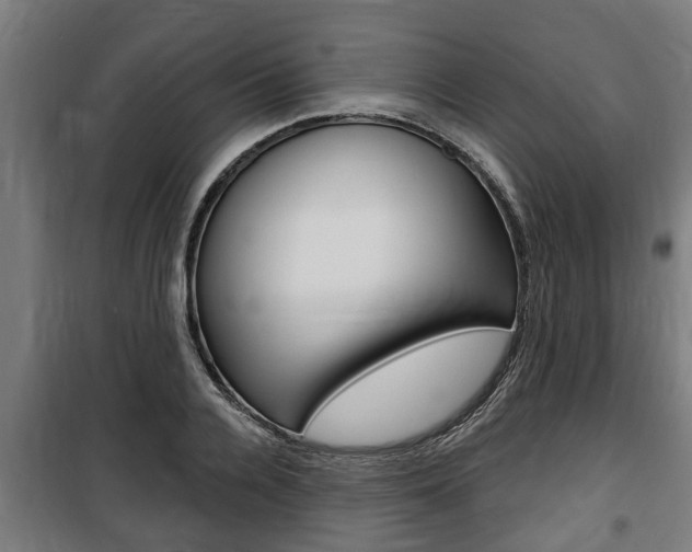 X0000100840936200806200735