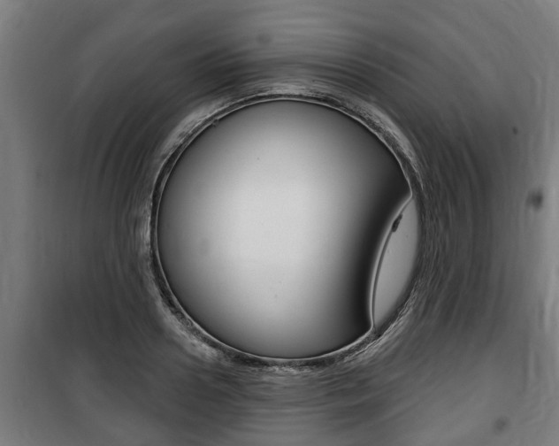 X0000100840938200806200735