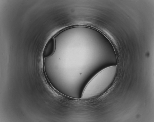 X0000100840940200806200735