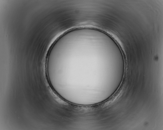 X0000100840941200806200735