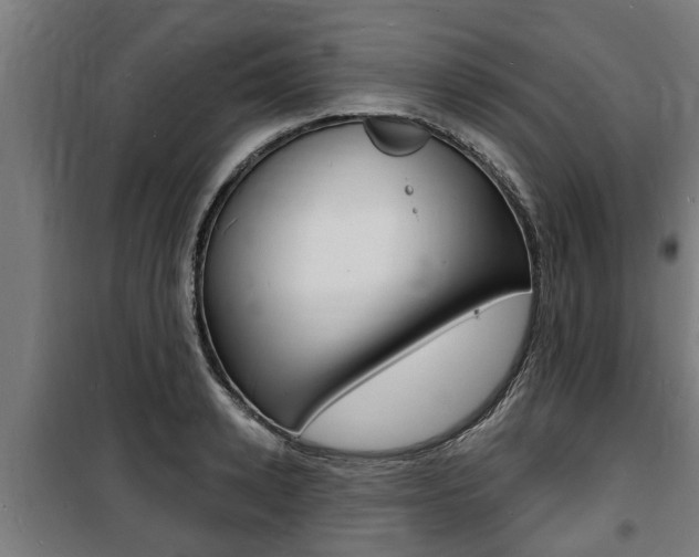 X0000100840942200806200735