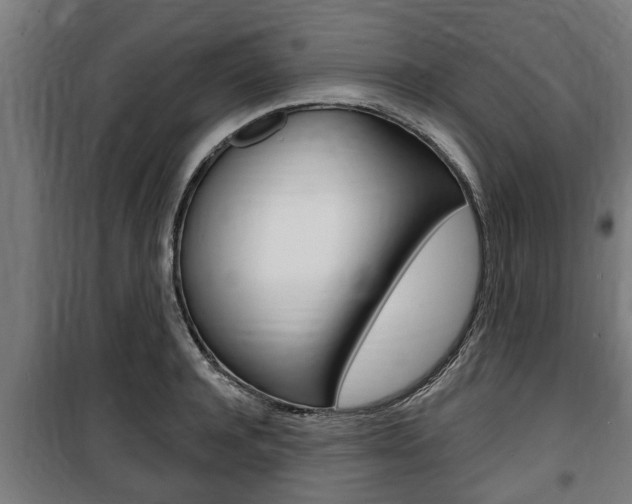 X0000100840944200806200735