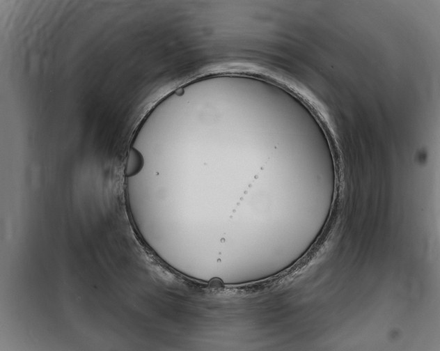 X0000100840945200806200735