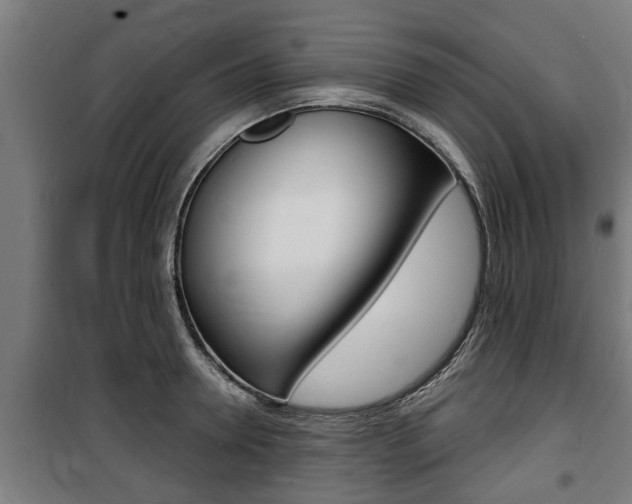 X0000100840946200806200735