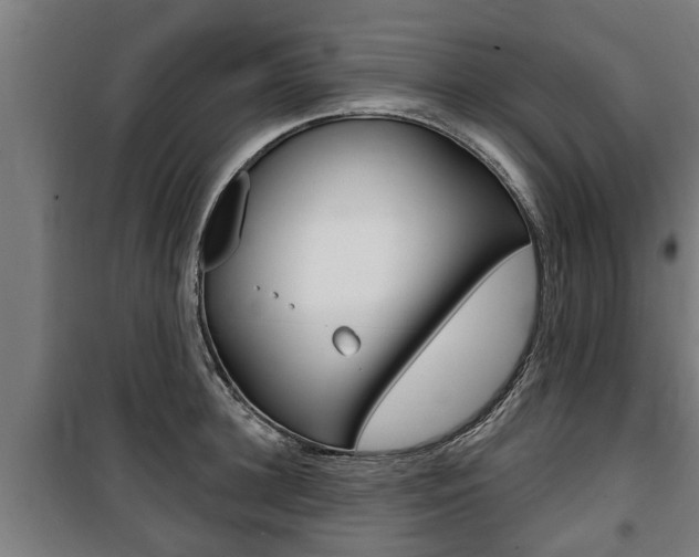 X0000100840948200806200735