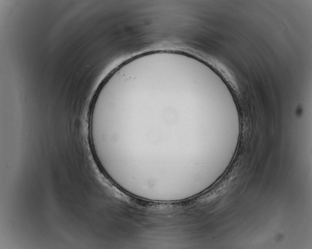 X0000100840950200806200735