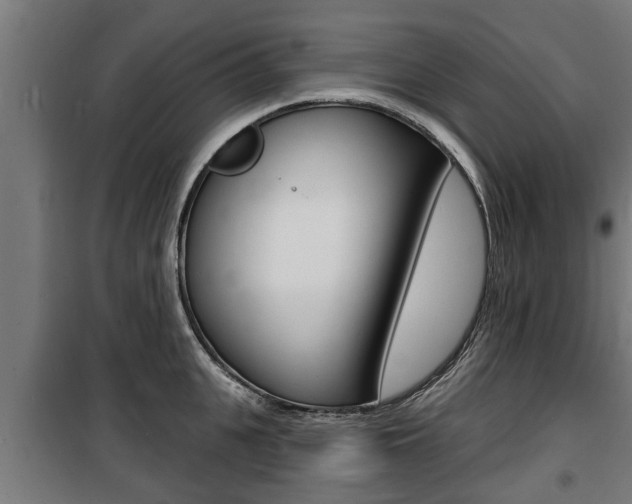 X0000100840951200806200735