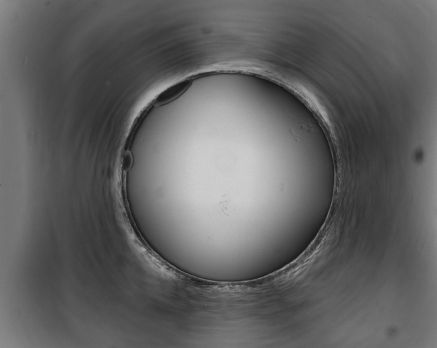 X0000100840952200806200735