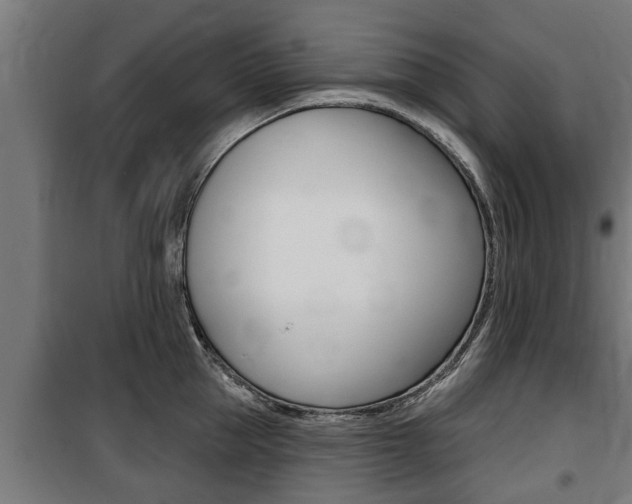 X0000100840953200806200735