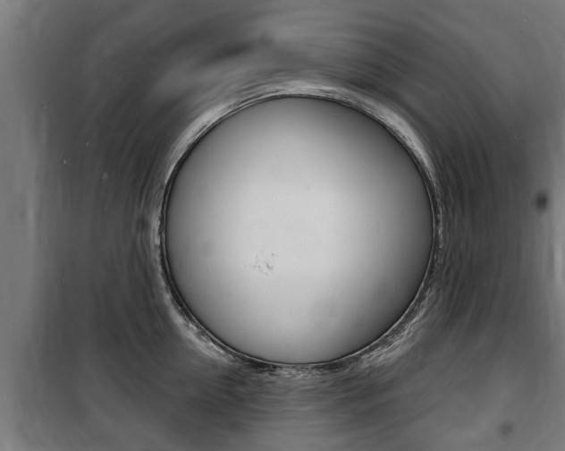 X0000100840954200806200735