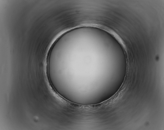 X0000100840955200806200735