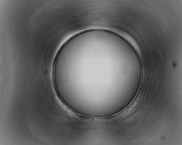 X0000100840958200806200735