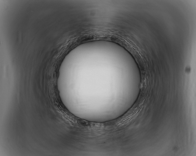 X0000100840961200806200734