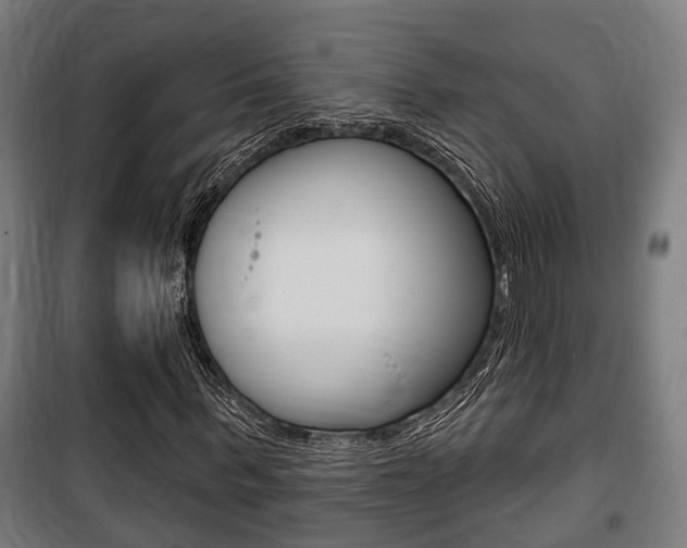 X0000100840963200806200734