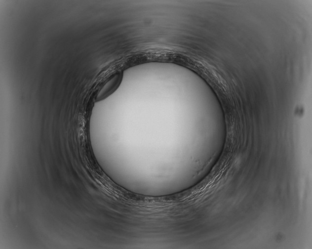 X0000100840964200806200734