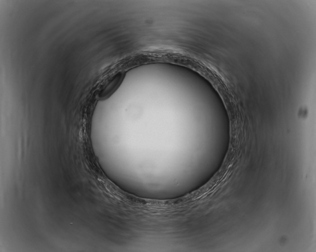 X0000100840965200806200734