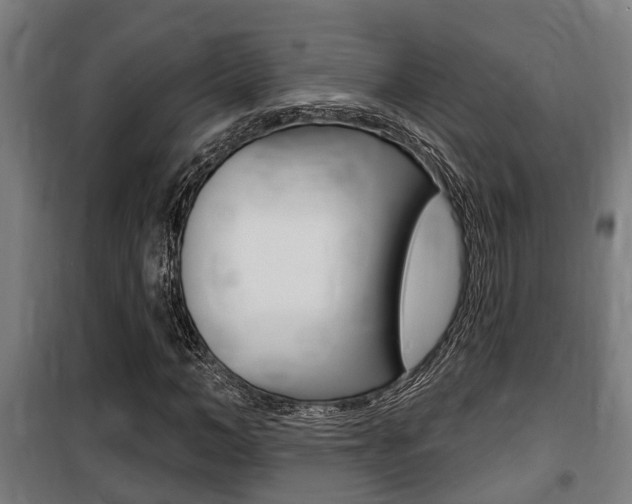 X0000100840966200806200734