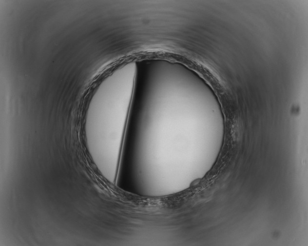 X0000100840968200806200734