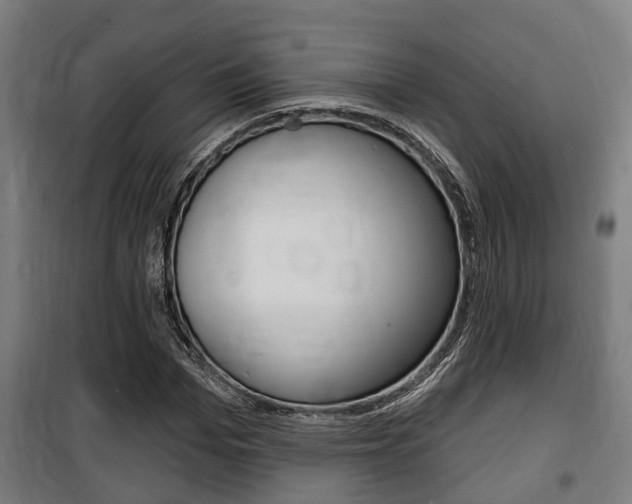 X0000100840969200806200734