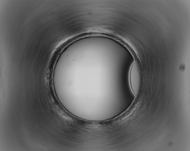 X0000100840971200806200734