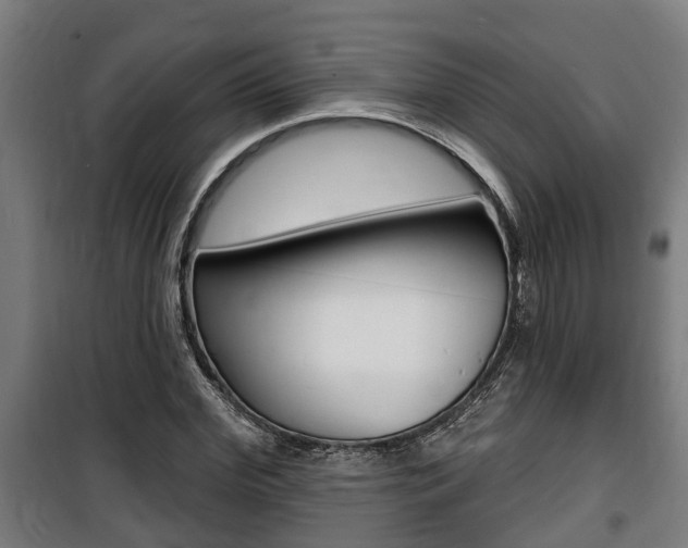 X0000100840972200806200734