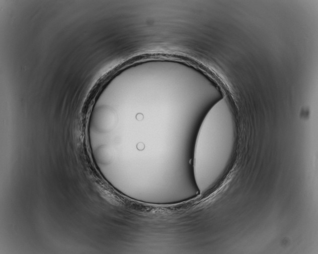 X0000100840974200806200734