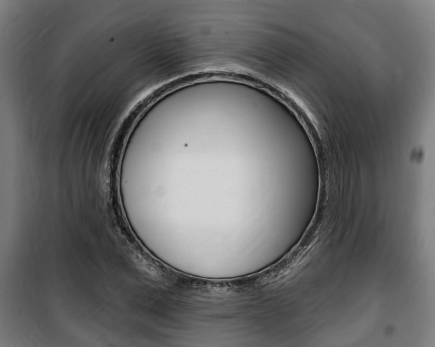 X0000100840975200806200734