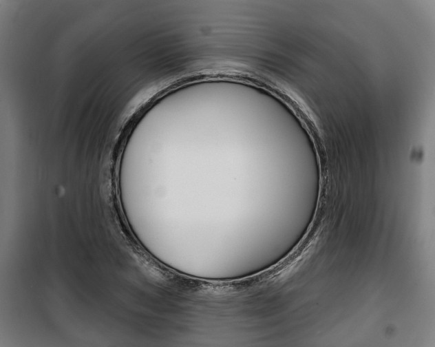 X0000100840978200806200734