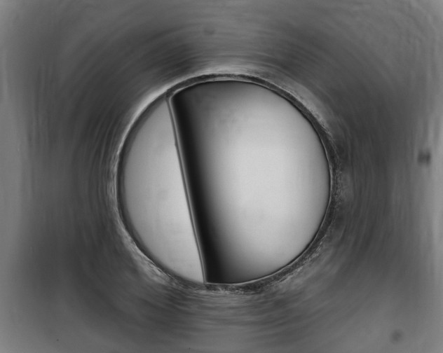 X0000100840980200806200734