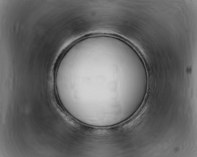 X0000100840982200806200734