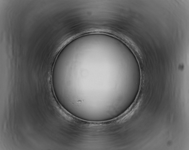 X0000100840985200806200734