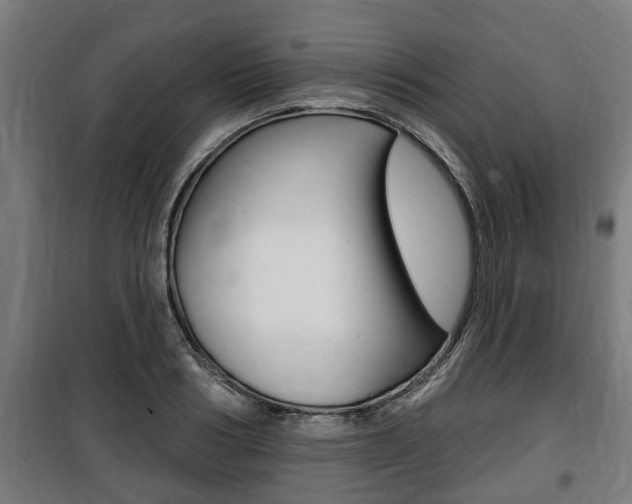 X0000100840986200806200734