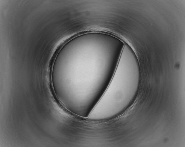 X0000100840987200806200734