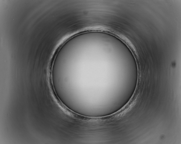 X0000100840989200806200734