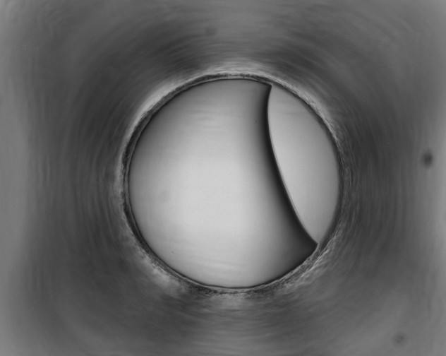 X0000100840990200806200734