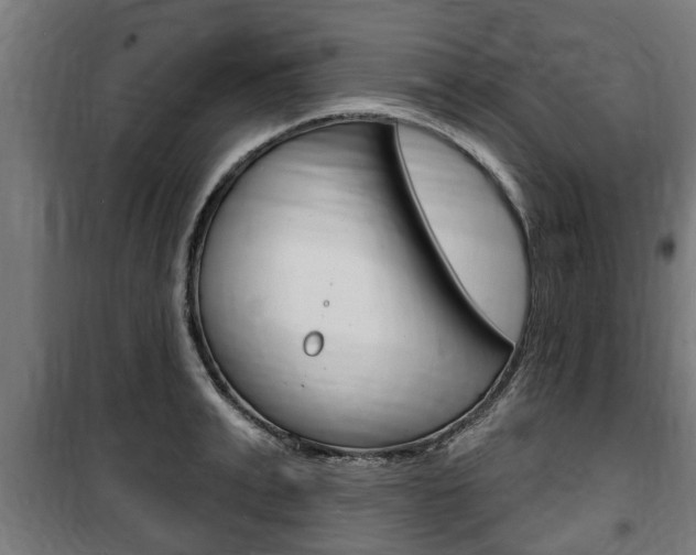 X0000100840991200806200734