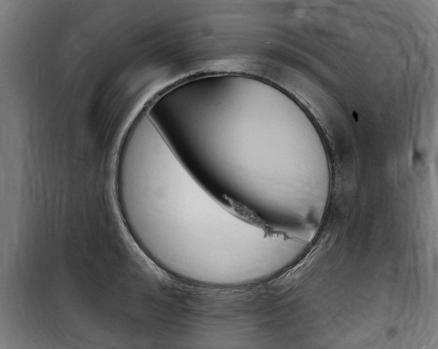 X0000100840992200806200734