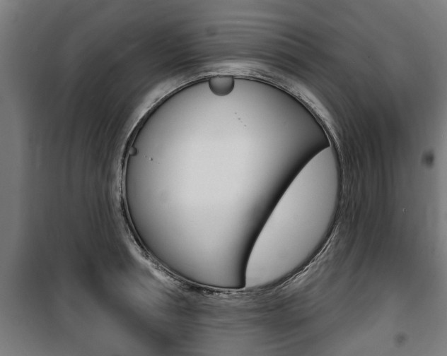 X0000100840994200806200734