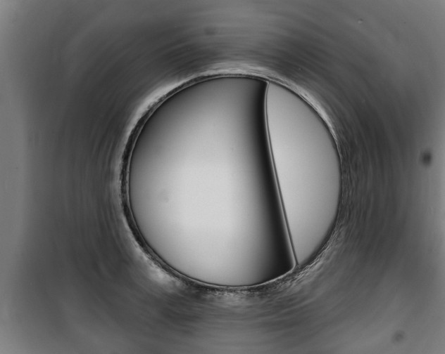 X0000100840995200806200734