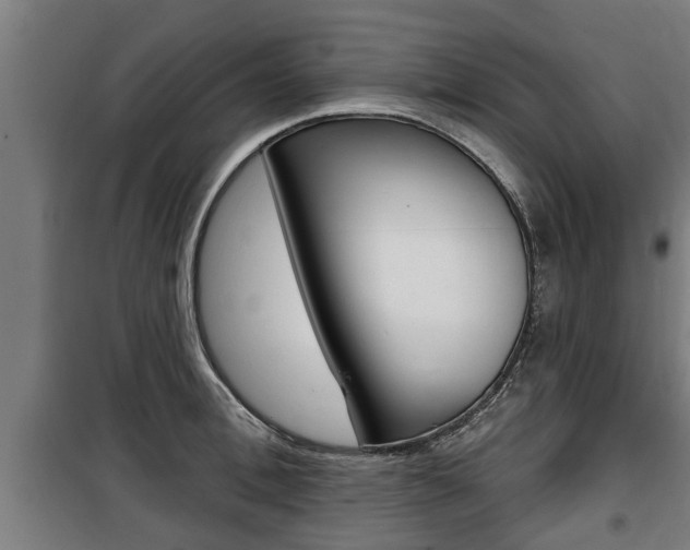 X0000100840996200806200734