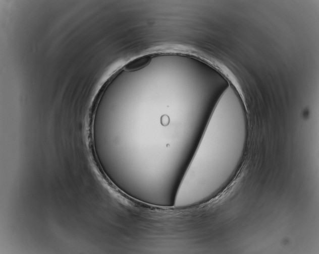 X0000100840997200806200734