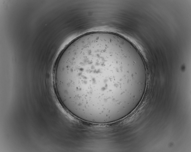 X0000100840998200806200734